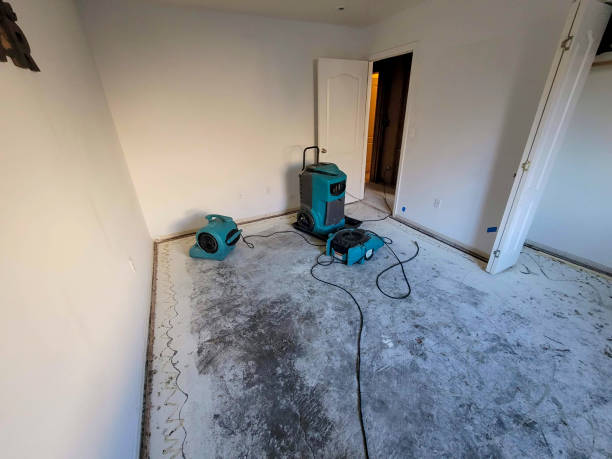 Best Commercial water damage restoration  in Hubbard, OR