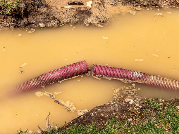 Best Water damage restoration near me  in Hubbard, OR